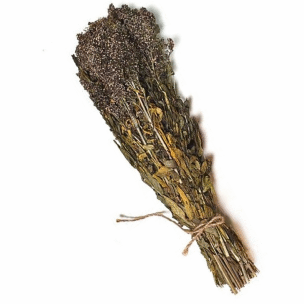 Värvmadara saunaürt (ladina k. Galium boreale)