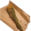 Saunaürt - naistepuna (Hypericum)