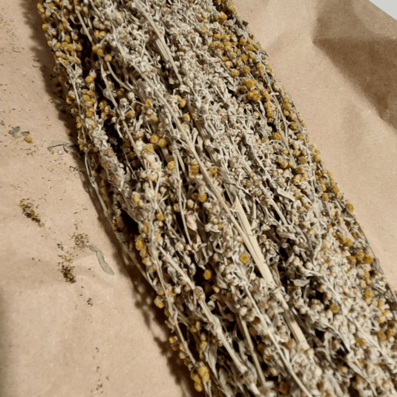 Трава для бани Полынь горькая (Artemisia absinthium)